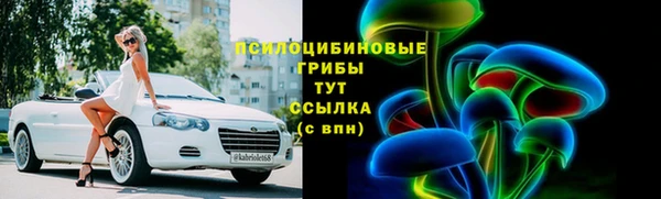 стафф Бородино