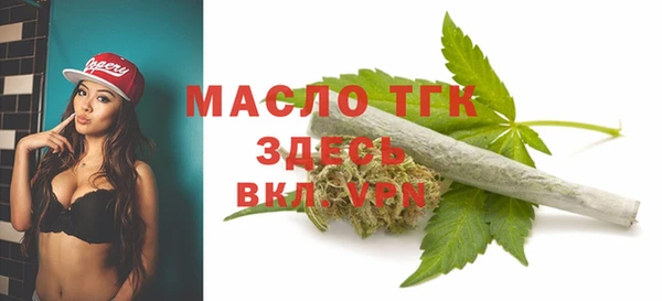 дживик Бронницы