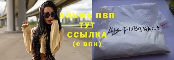 стафф Бородино