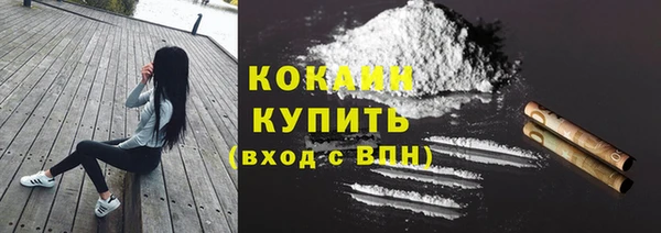 дживик Бронницы