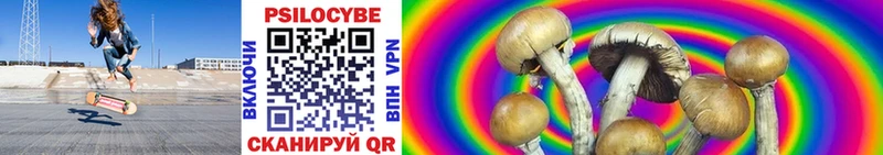 MEGA онион  Кизилюрт  Псилоцибиновые грибы мицелий  купить  цена 